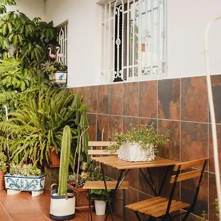 De La Candelaria Ii Appartement Santa-Cruz de Ténérife